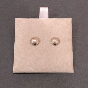 Sterling Silver Sea Shell Earrings 🐚